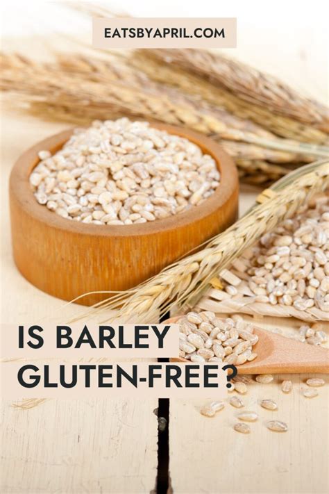 is barley gluten free uk.